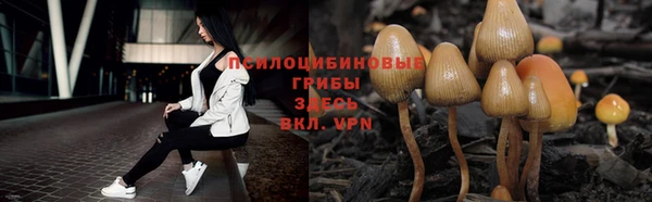 ешки Россошь